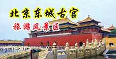 大鸡巴操骚屄的视频中国北京-东城古宫旅游风景区